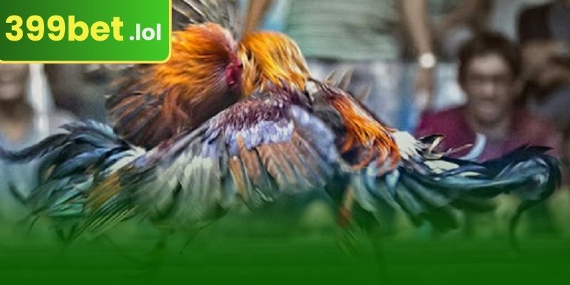 নিয়ম এবং প্রতিযোগিতার ধরণ আয়ত্ত করা